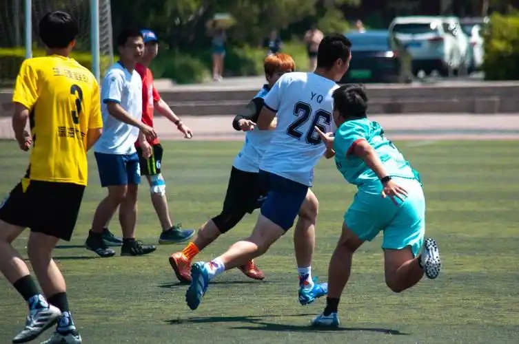 九游会j9真人游戏